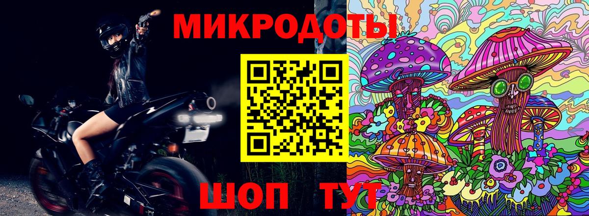 Балаково  Галлюциногенные грибы Cubensis  наркотики  Вход с VPN 